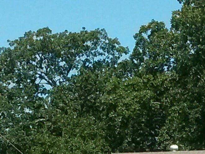 Holiday Hills Resort Image