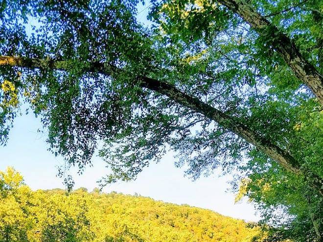 Beaver dam rv park