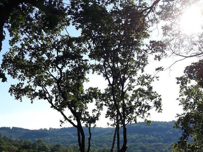 Cherokee mountain luxury log cabins