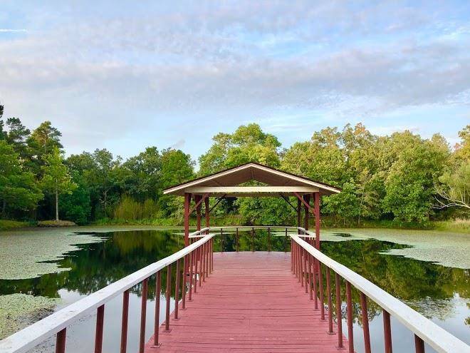 Pond mountain lodge & resort