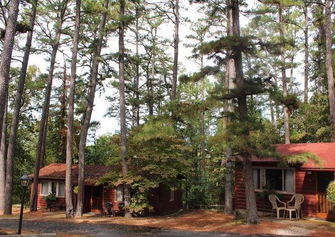Tall pines inn
