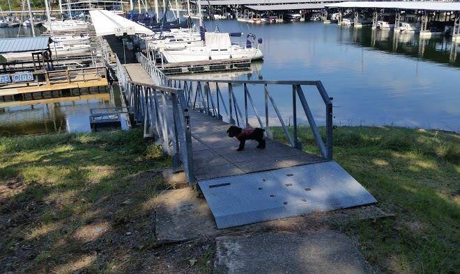 Iron Mountain Lodge & Marina Image