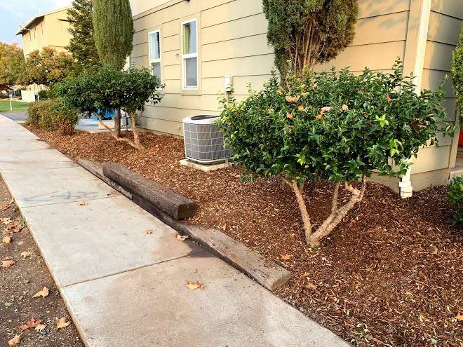 Almond tree rv park