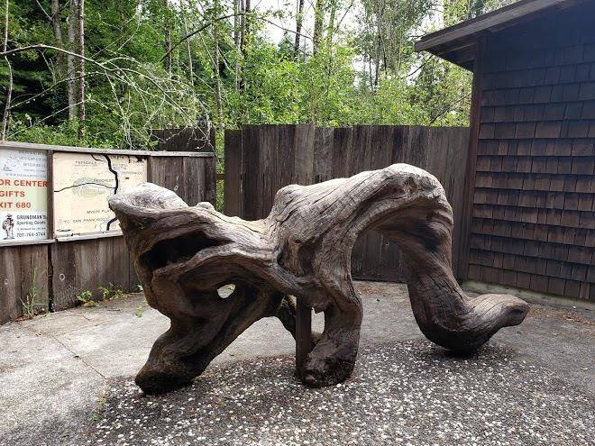 Ancient redwoods rv park