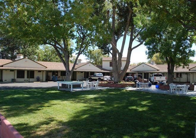 Trees Motel Image