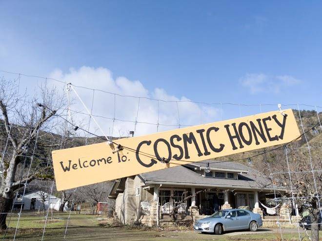 Cosmic honey
