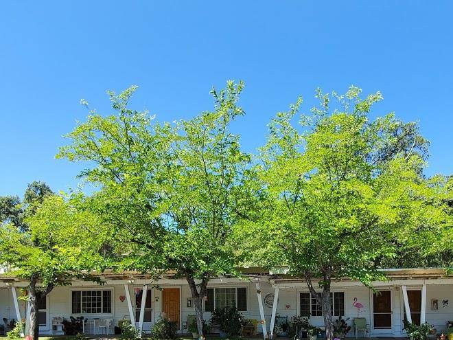 Eldorado motel