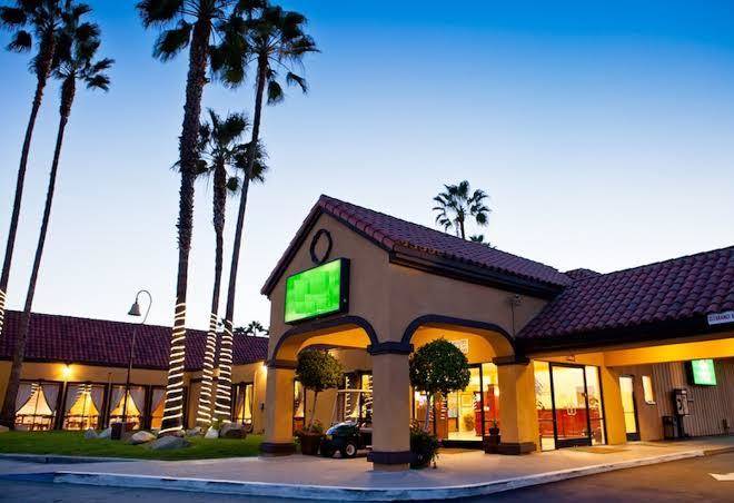 Hotel saddleback