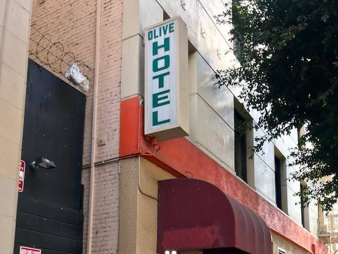 Olive hotel
