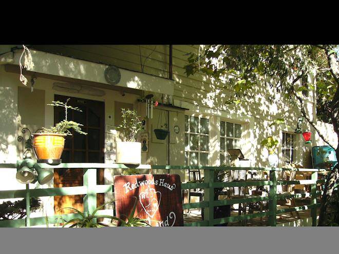 Stinson beach redwood haus inn
