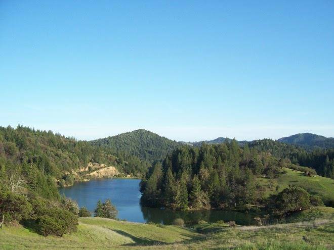Mendocino magic