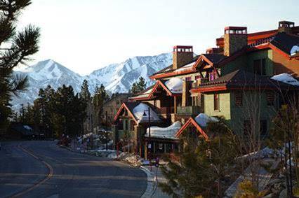 80 50 mammoth