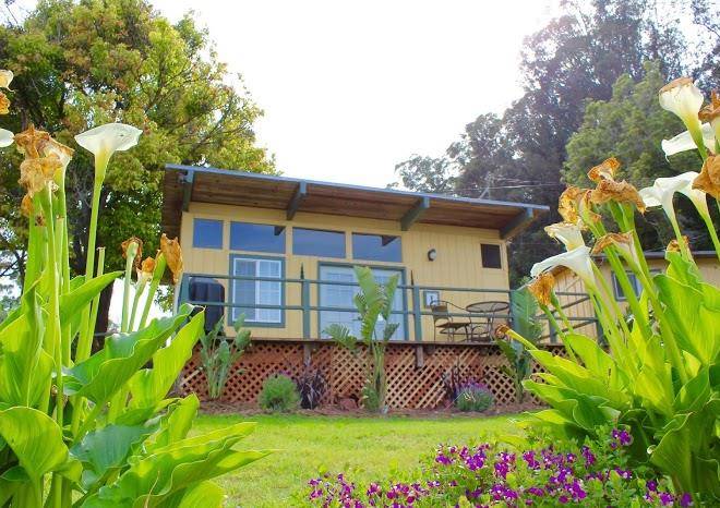 Salinas monterey koa