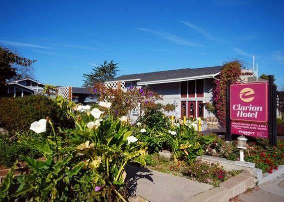 Stargazer inn and suites