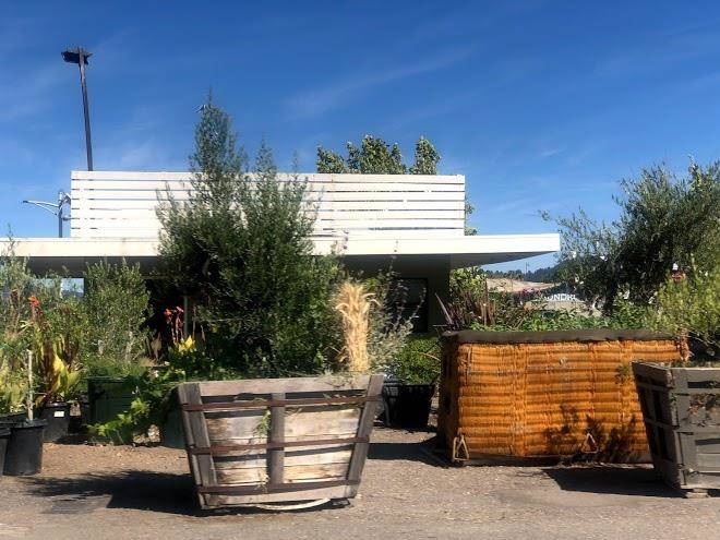 Dr wilkinson's backyard resort & mineral springs