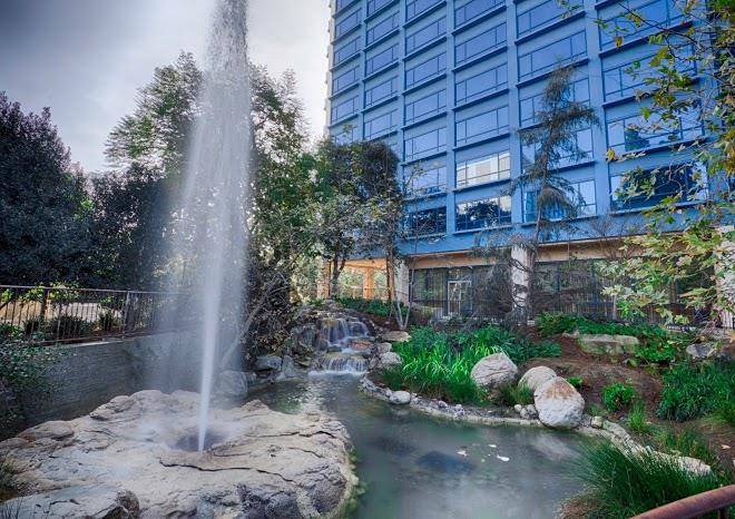 Disneyland hotel