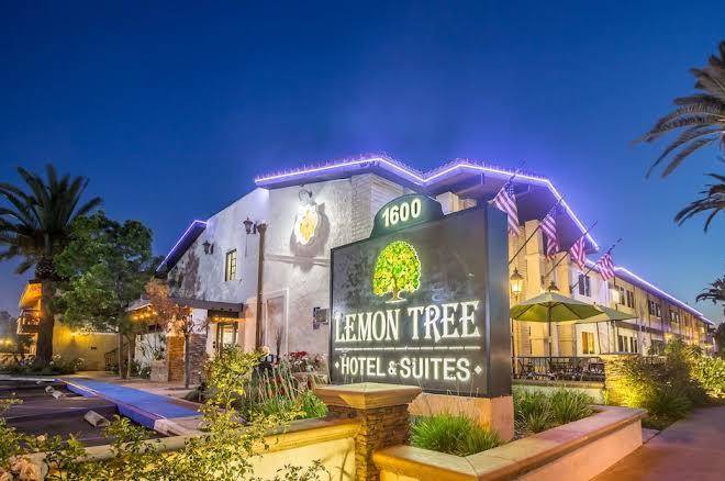 Lemon Tree Hotel And Suites Image