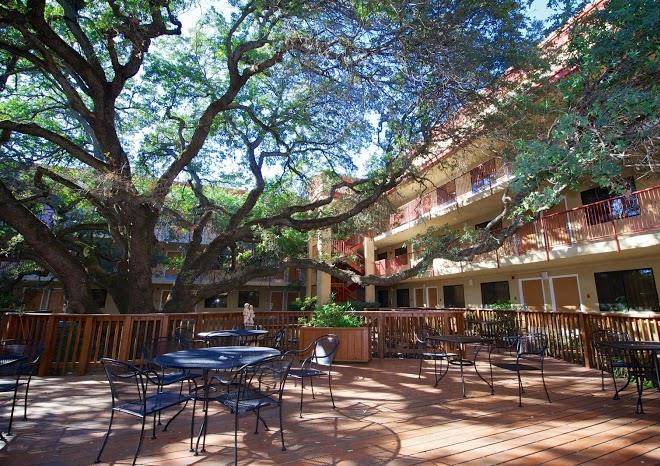Best western plus orchid hotel & suites