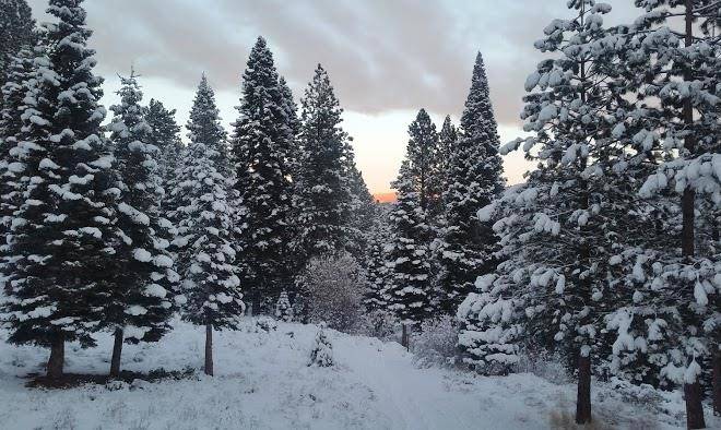 Northstar condo