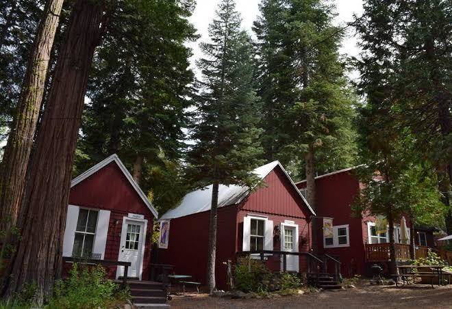 Tahoma meadows