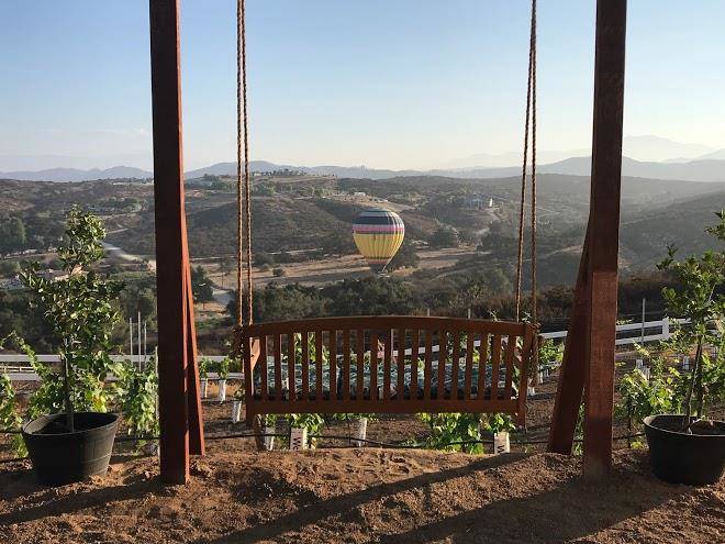 Cavallini family vineyard estate