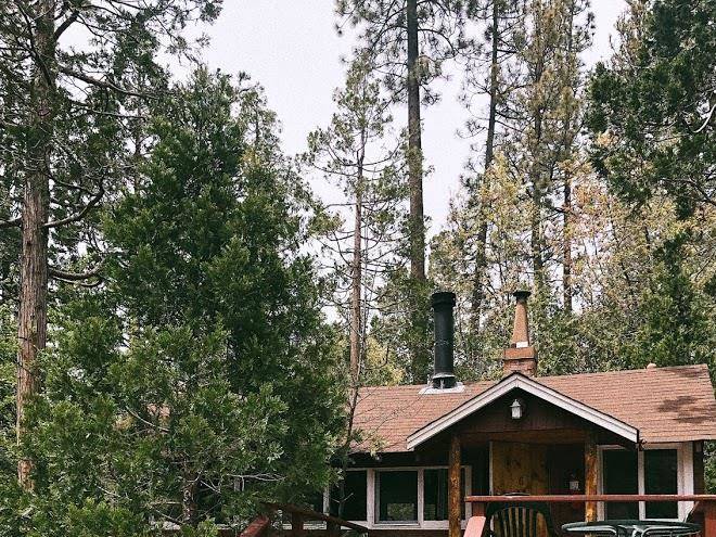 Woodland park manor