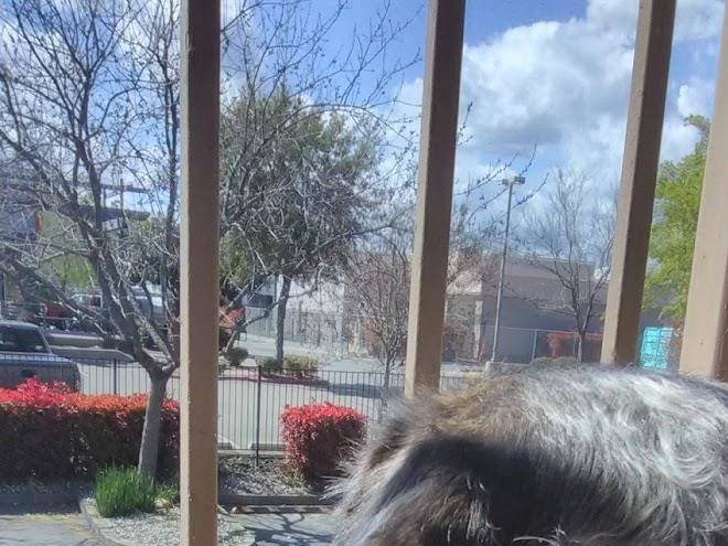 California inn and suites