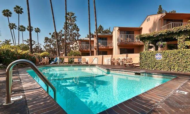 Best western pine tree motel