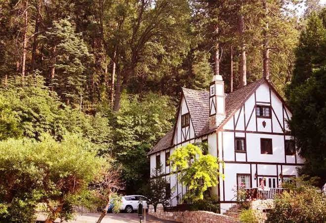 Bracken fern manor