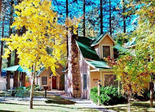 Sleepy forest resorts