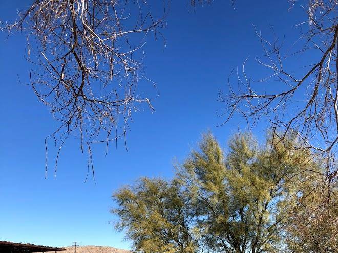 Mojave sands