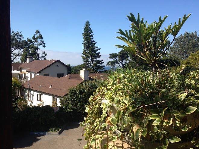 Secret garden inn