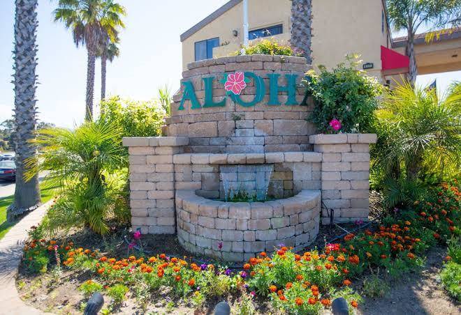 Aloha inn