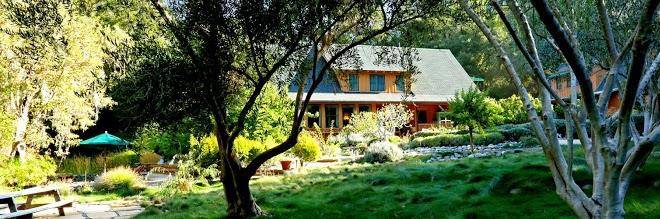 Wellspring ranch