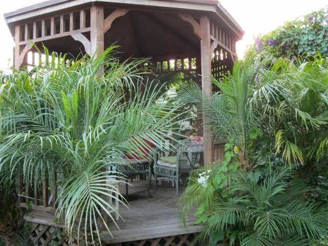 A white jasmine inn