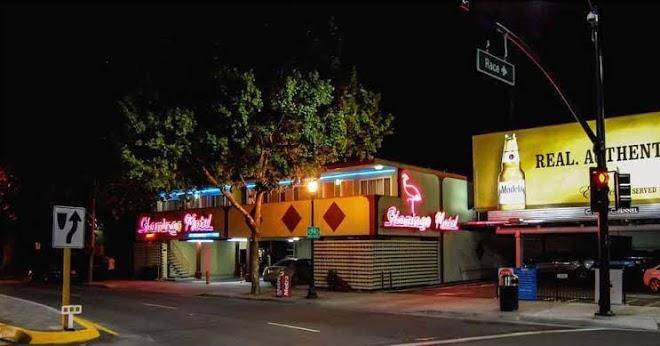 The flamingo motel