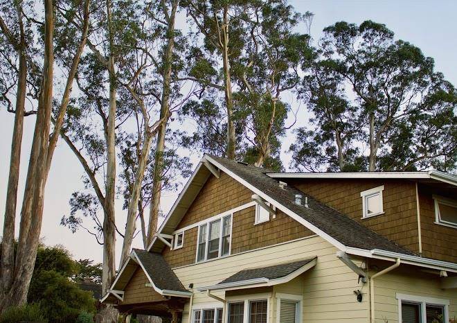 Outsite santa cruz westcliff oxford