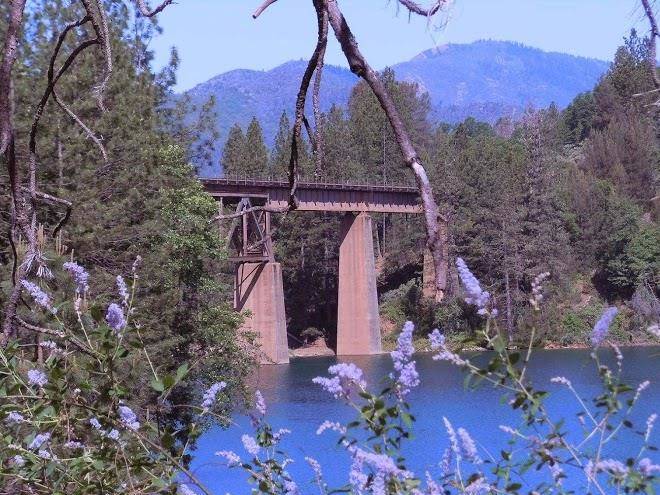 Salt creek resort & rv