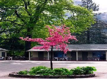 Dunsmuir lodge