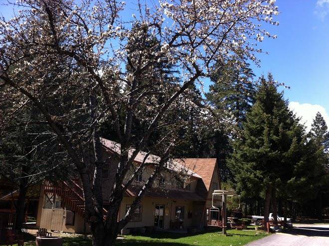 Mount shasta city koa holiday