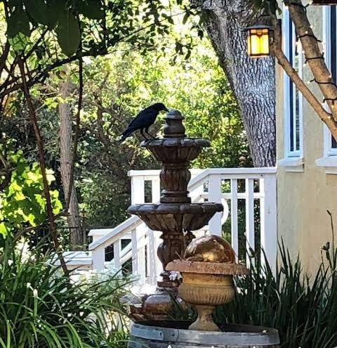 Glen ellen inn