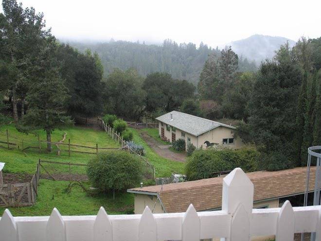 Mountain home ranch