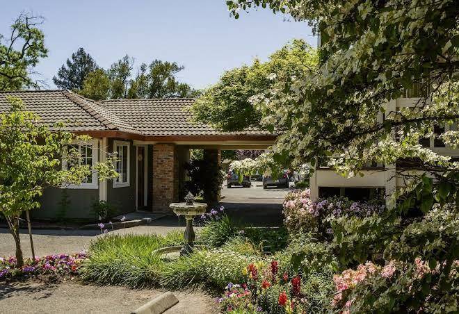 The jack london lodge