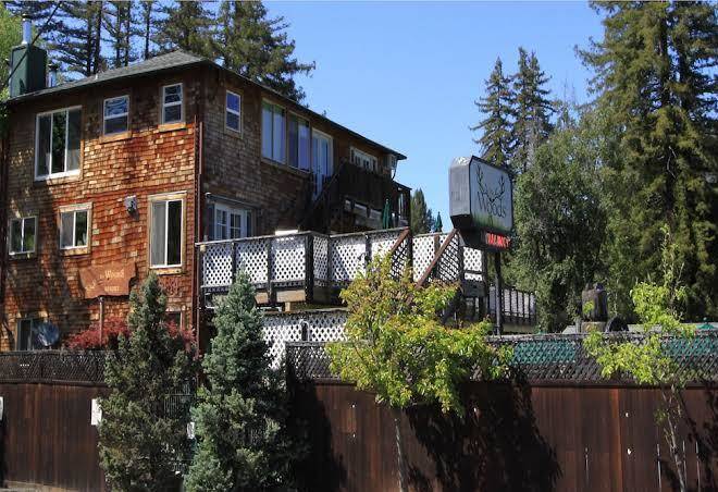 The woods hotel