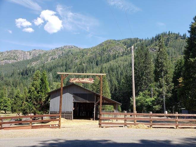Feeling groovy at eagle creek ranch cannabis friendly ranch resort