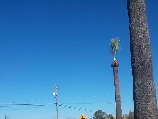 Reedley country b & b