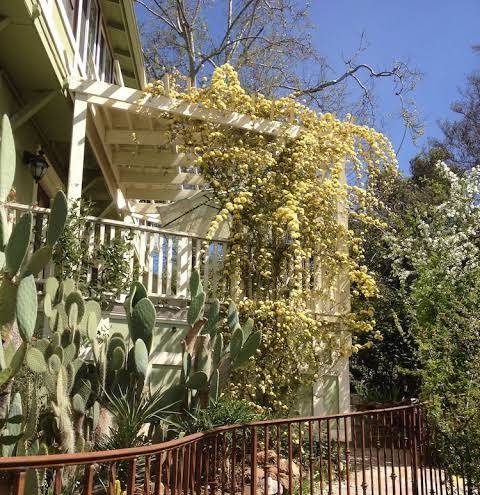 Barretta gardens inn
