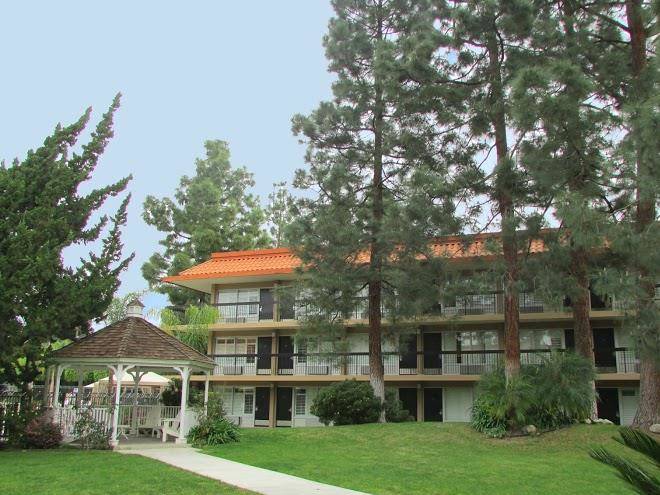 Palm garden hotel