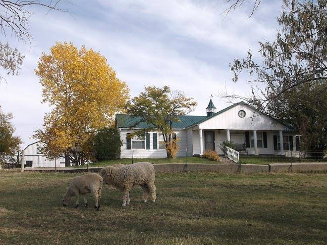 Willow tree country inn