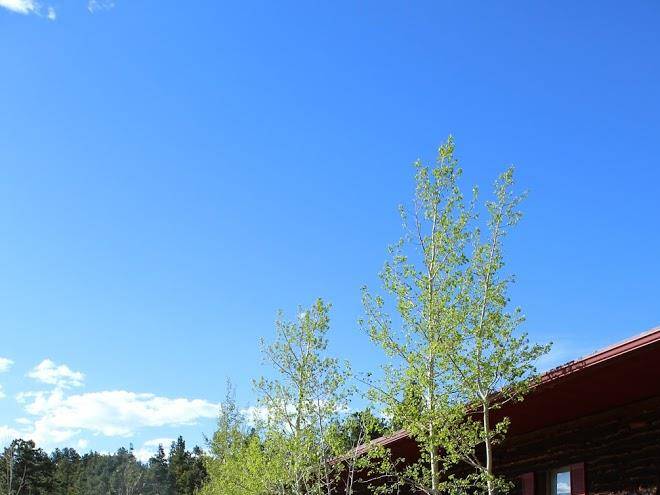 Sundance lodge and cafe